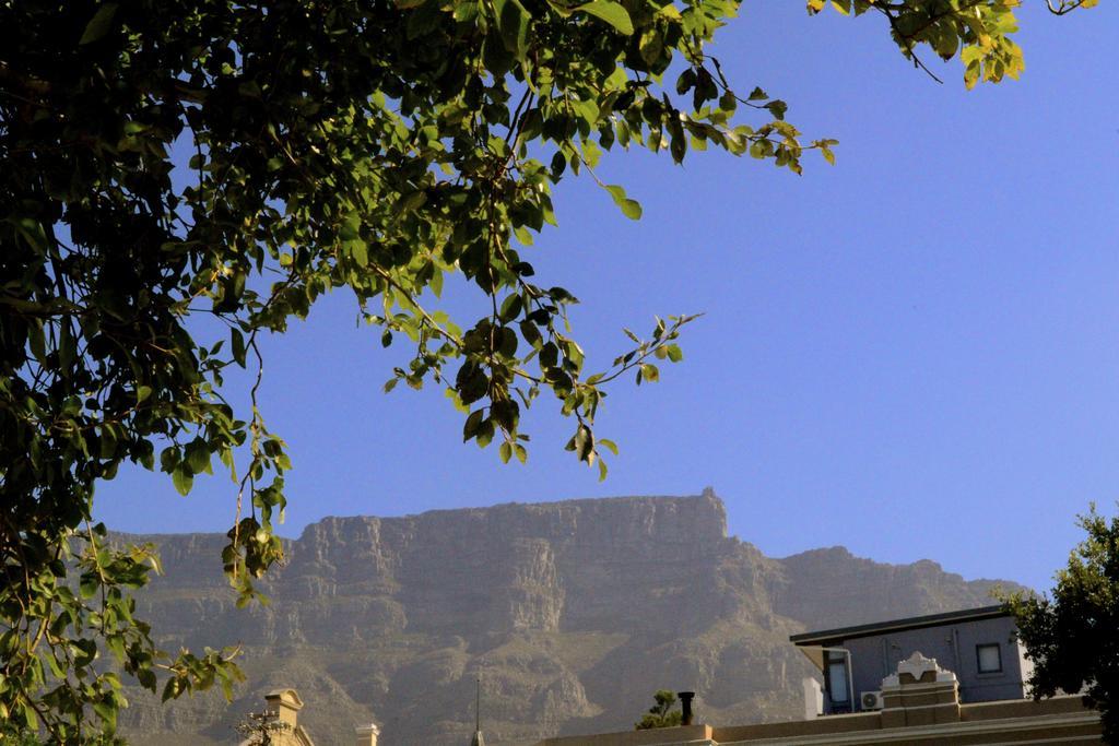 Ikhaya Lodge Cape Town Dış mekan fotoğraf